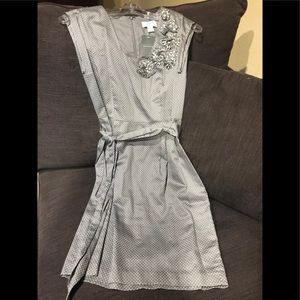 Ann Taylor Dress